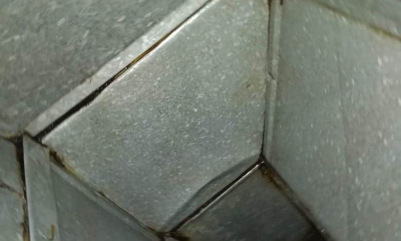 IMG-20210316-WA0126